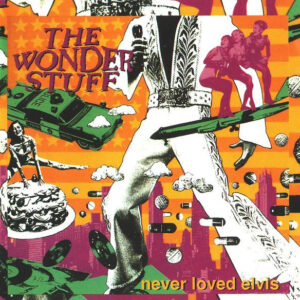 NEVER LOVED ELVIS (CD)