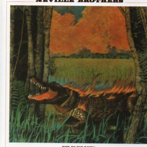FIYO ON THE BAYOU (CD)