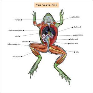 Verve Pipe (CD)