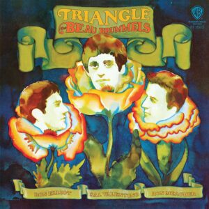 TRIANGLES (NEW LP)