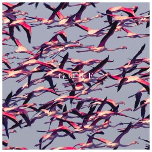 GORE (NEW LP)
