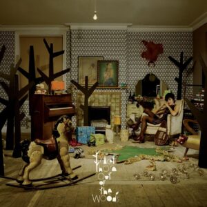 OUT OF THE WOODS (CD)