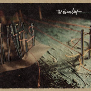 INTO THE BLUE AGAIN (Used CD)