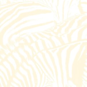 TEEN DREAM (NEW LP)