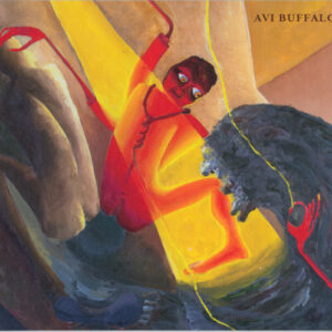 AVI BUFFALO (Used CD)