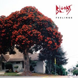FEELINGS (Used CD)