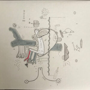 TINY CHANGES: CELEBRATION OF FRIGHTNED RABBIT (CD)