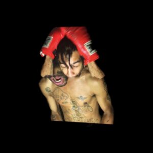 BULLI (NEW LP)