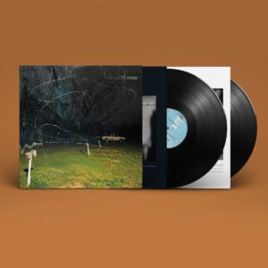 THIS STUPID WORLD (NEW LP)