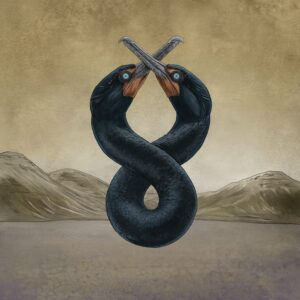 CORMORANT I & II (NEW LP) (MD)
