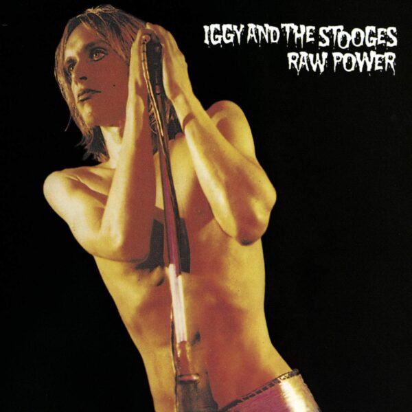 RAW POWER (NEW LP)