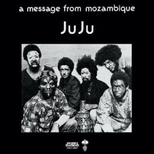Message From Mozambique (NEW LP)