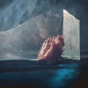 IN VIRUS TIMES (NEW LP)