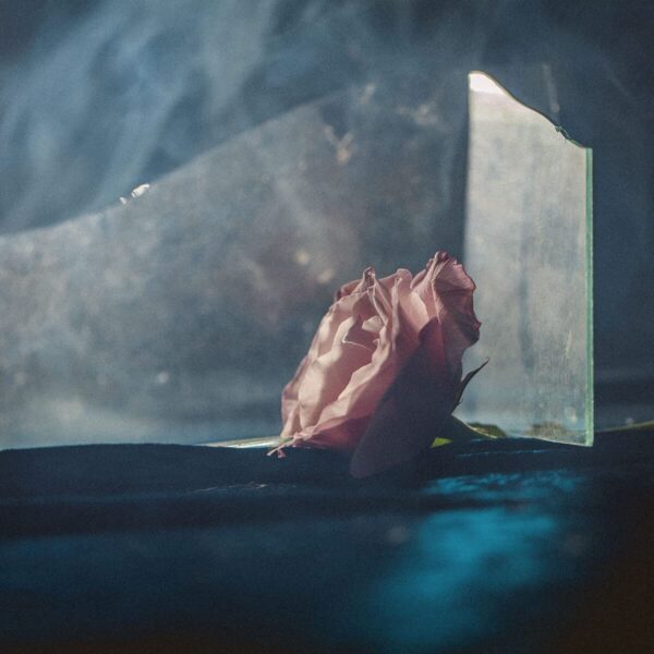 IN VIRUS TIMES (NEW LP)