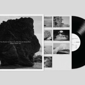 NEARER THE FOUNTAIN MORE PURE STREAM FLOWS(NEW LP)
