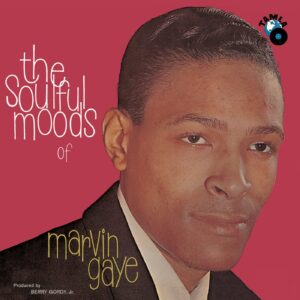 SOULFUL MOODS OF MARVIN GAYE (NEW LP) (MD)