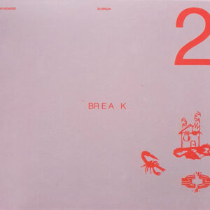 22 BREAK (CD)