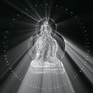 INVISIBLE LIGHT:SPELLS (NEW LP) (MD)