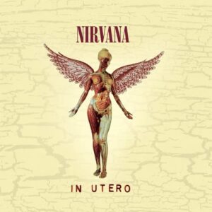 IN UTERO: 20TH ANNIVERSARY (CD)