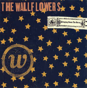 BRINGING DOWN THE HORSE (CD)