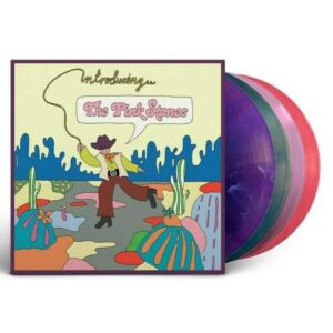 INTRODUCING...THE PINK STONES (NEW LP)