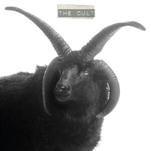 Cult (NEW LP)