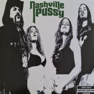 SAY SOMETHING NASTY (NEW LP) (BFRSD22) (MD)