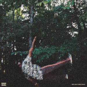 fish don't climb trees (New LP) (MD)