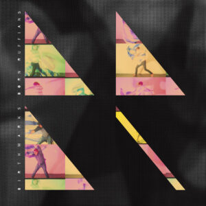 BIRTHMARKS (Used CD)