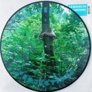 PROJECTIONS (NEW LP)
