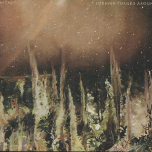 FOREVER TURNED AROUND (CD)