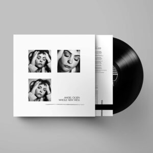 WHOLE NEW MESS (NEW LP)