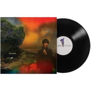 WE'VE BEEN GOING ABOUT THIS ALL WRONG (NEW LP)