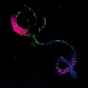 SNAKE (Used CD)