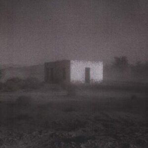 'ALLELUJAH DON'T BEND ASCEND (NEW LP)