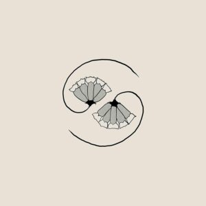 G_D'S PEE AT STATES END (NEW LP)