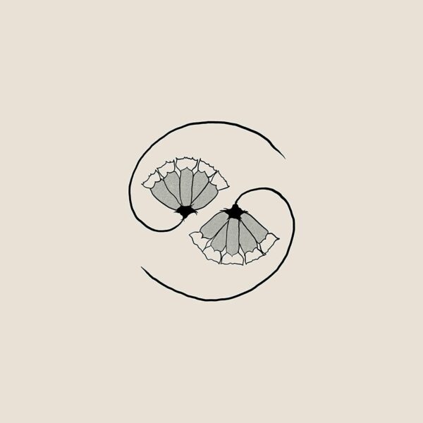 G_D'S PEE AT STATES END (NEW LP)