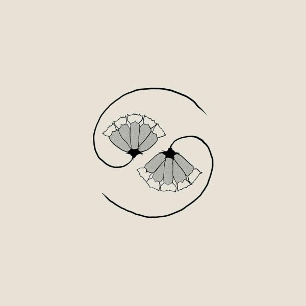 G_D'S PEE AT STATES END (CD)