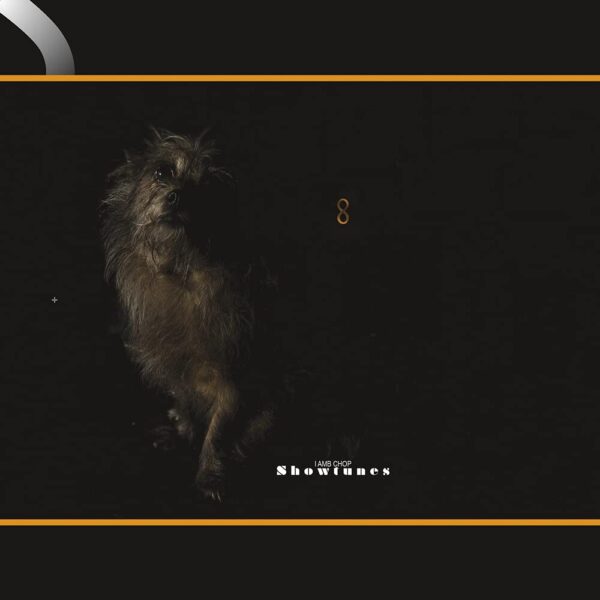 SHOWTUNES (NEW LP) (MD)