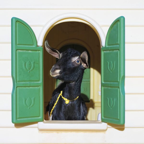 WILD LONELINESS (NEW LP)