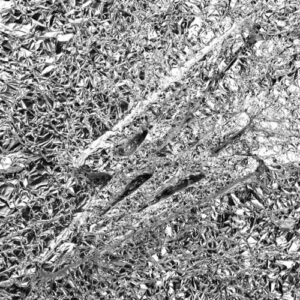Silver (New LP)