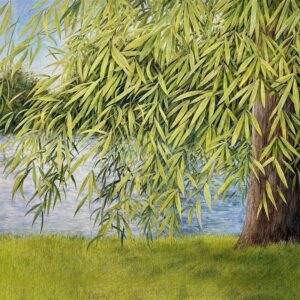 Nothing But Green Willow : The Songs Of Mary Sands