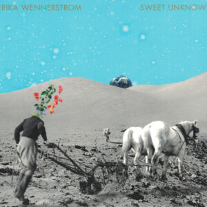 SWEET UNKNOWN (CD)