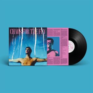 Chaos For The Fly (NEW LP)