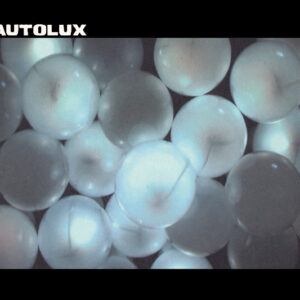 Future Perfect (CD)