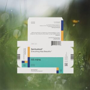 EVERYTHING WAS BEAUTIFUL (MD) (NEW LP)