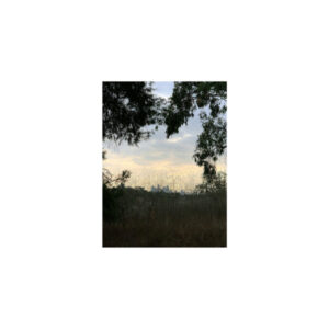 ARROYO (NEW LP) (MD)