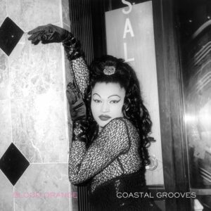 COASTAL GROOVES (NEW LP)