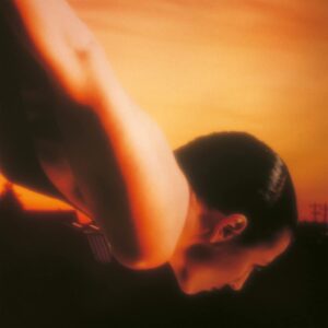 ON THE SUNDAY OF LIFE (NEW LP)