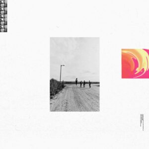 NEW PREOCCUPATIONS (NEW LP) (MD)